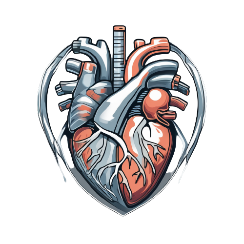 Cardiac Imaging Services